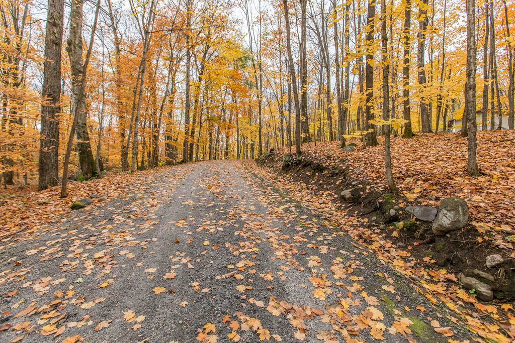 Gorgeous drive up the driveway