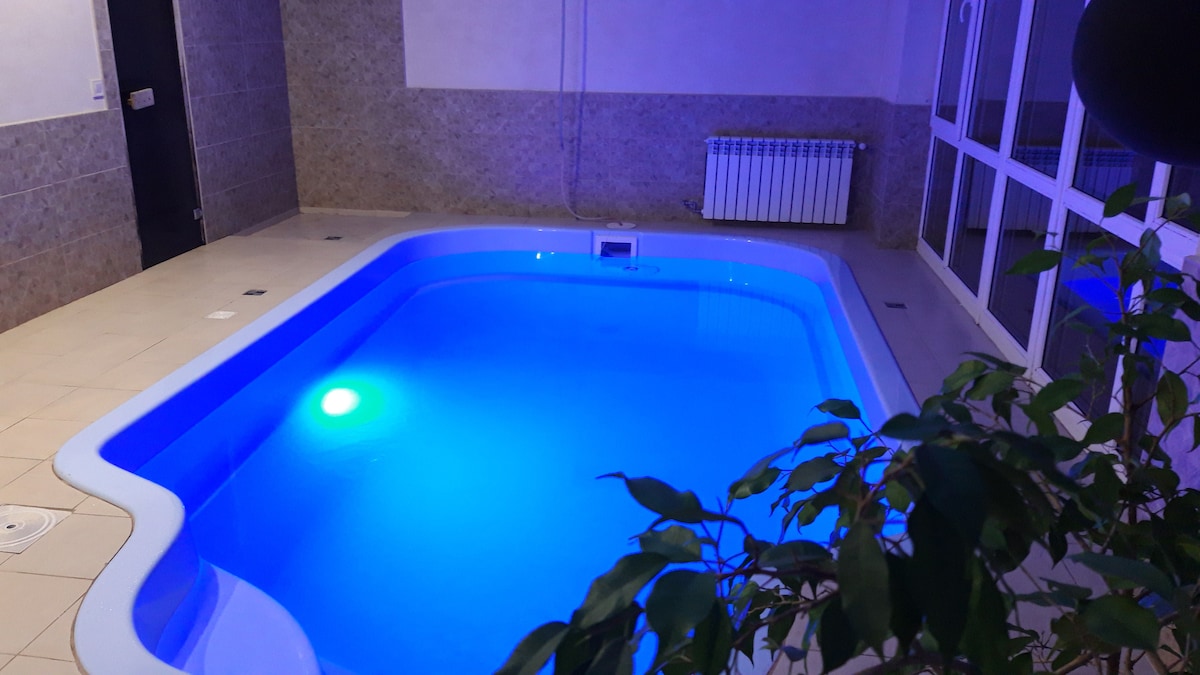 An indoor pool is visible, featuring softly illuminated water in a calming blue hue. The surrounding area is tiled, with large windows allowing for natural light, and a radiator is positioned against the wall. A small plant adds a touch of greenery.