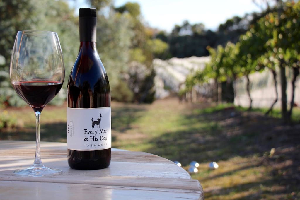 Enjoy a tasting of our wines, explore the vineyard and winery