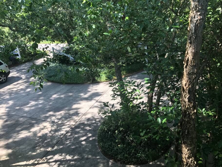Front driveway