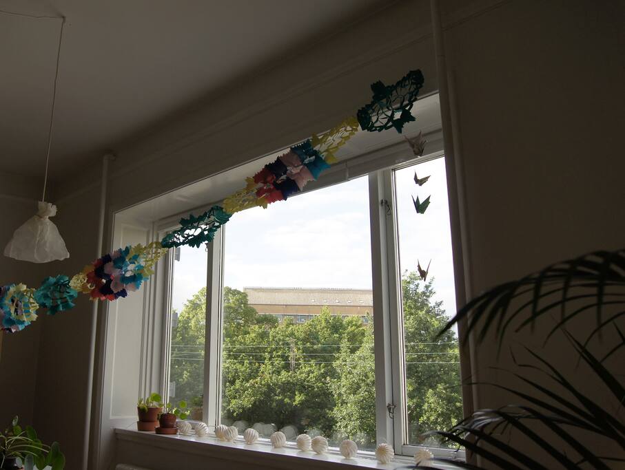 View of the University park from the living room