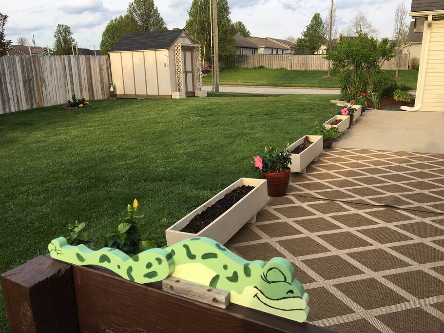 Back yard