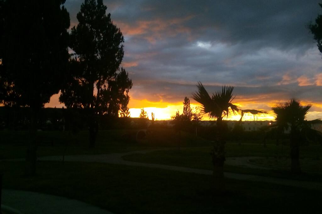 Disfrutas de total tranquilidad aislado de la ciudad y el ruido. Un lugar donde ver las estrellas y disfrutar de aire mas fresco