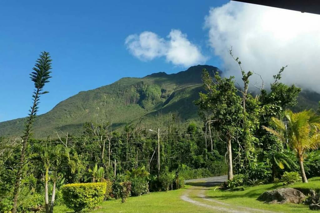 Misty Lodge with a view of Morne Trois Piton mountain