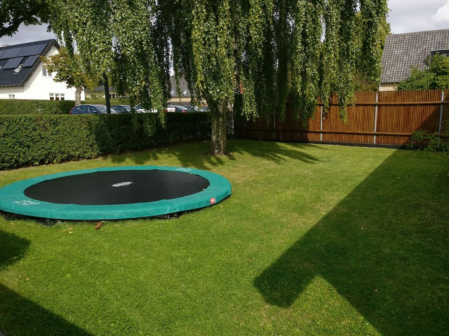 Garden in front of house