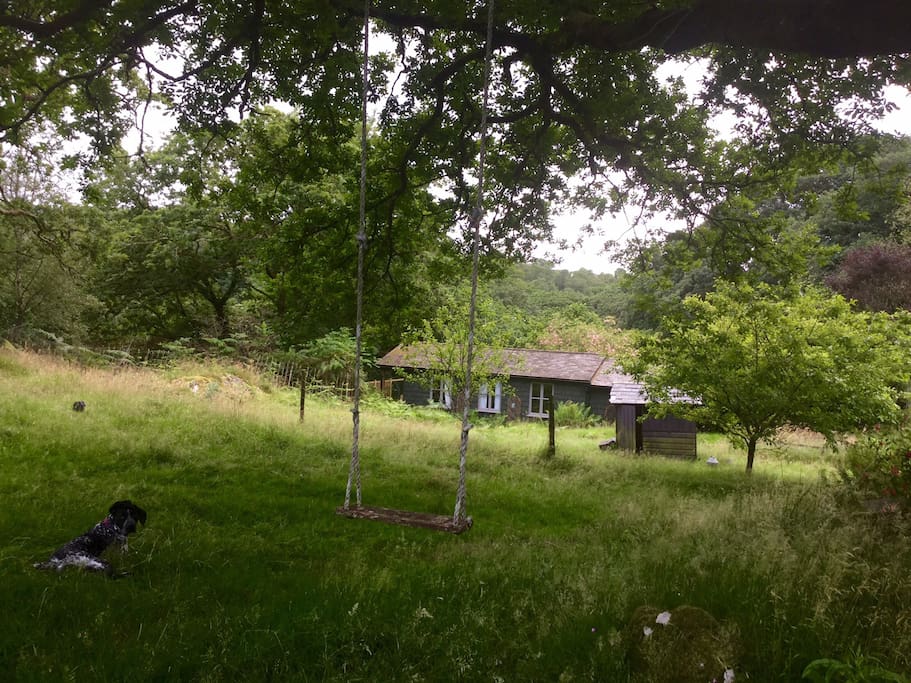 The cabin has total privacy nestled in the trees.