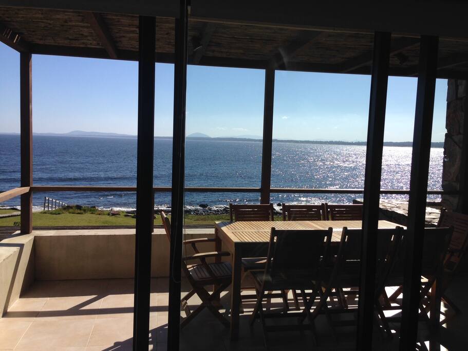 Terraza planta living