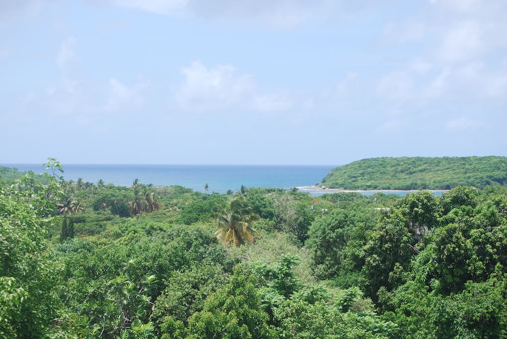 breathtaking ocean views