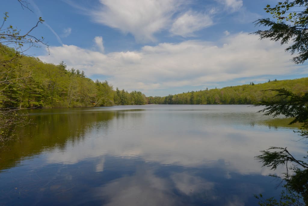Pristine Sandy Pond is a short walk down a dirt road. Perfect for a swim on a summer afternoon.