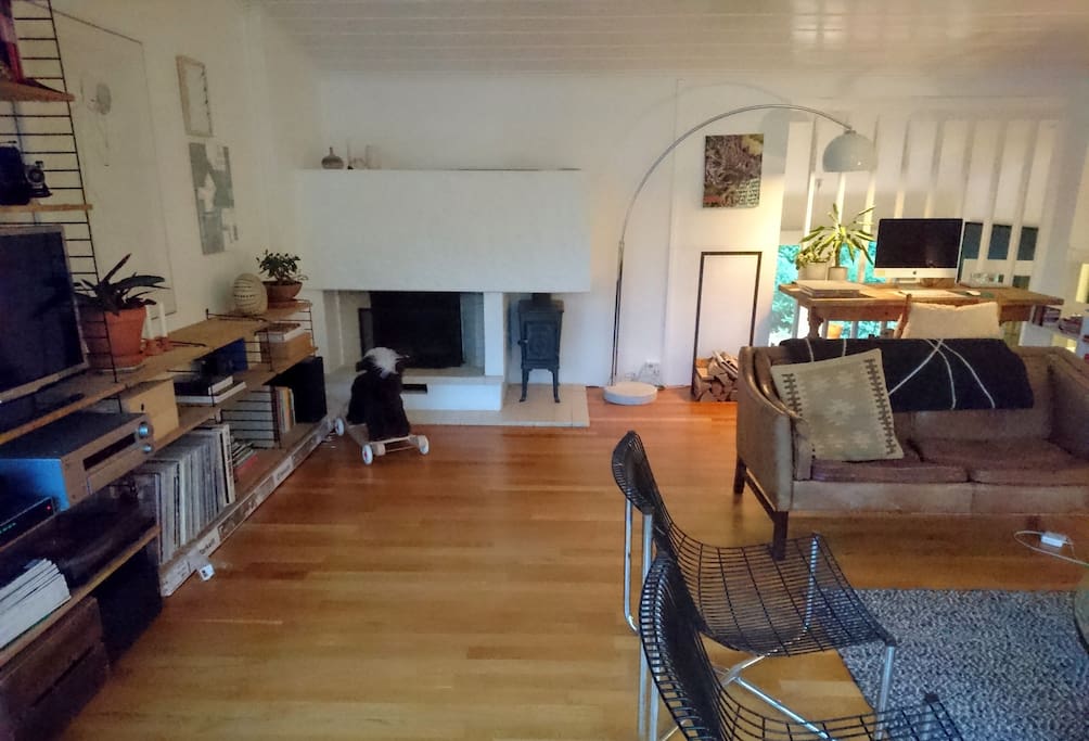 Fireplace, desk, TV, record player.