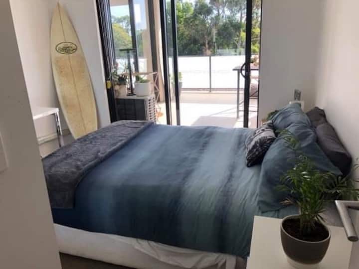 Top 2 Pet & DogFriendly In Wollongong, Australia