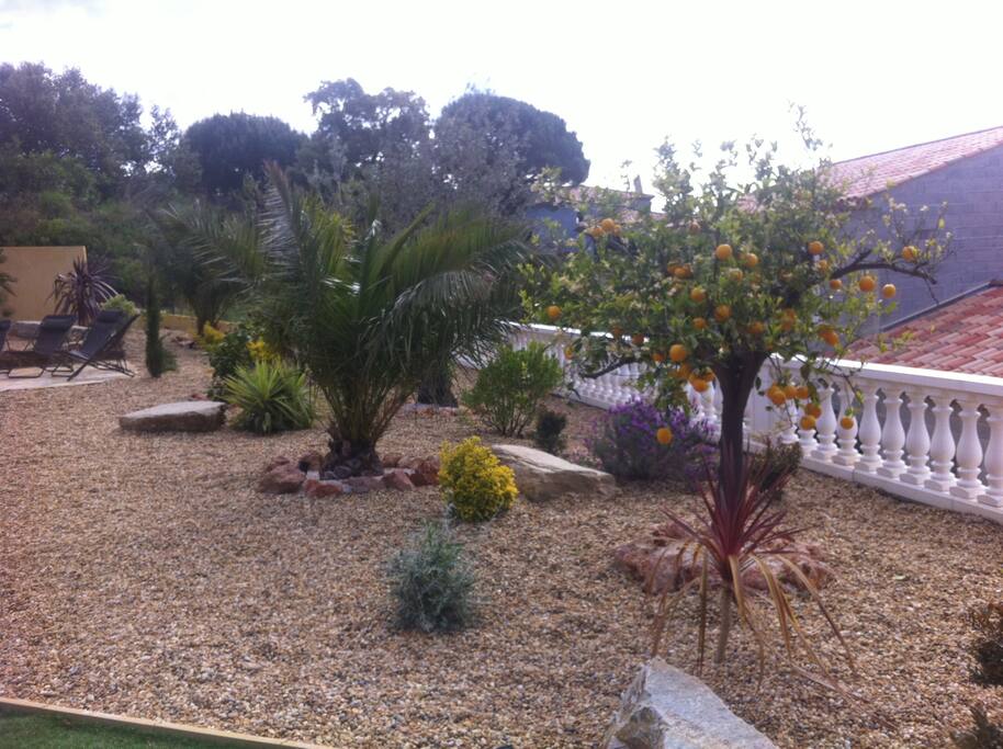 Extensive gardens
