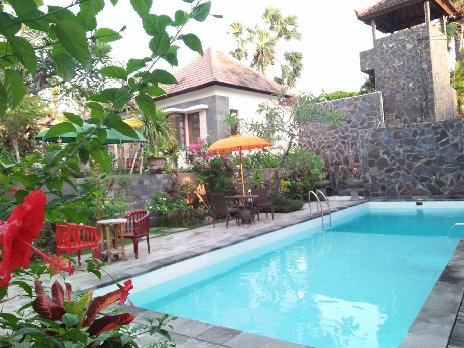 Our pool & garden