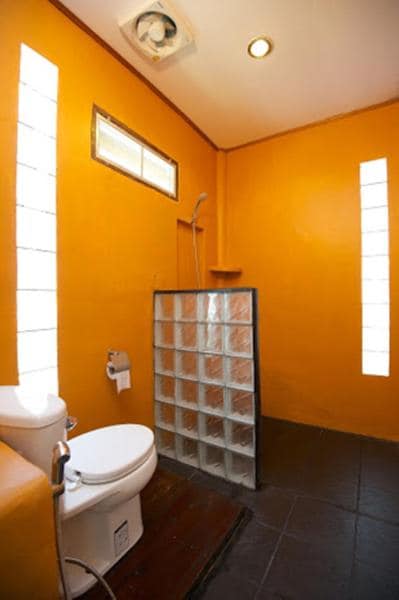 Тоалет и шанк