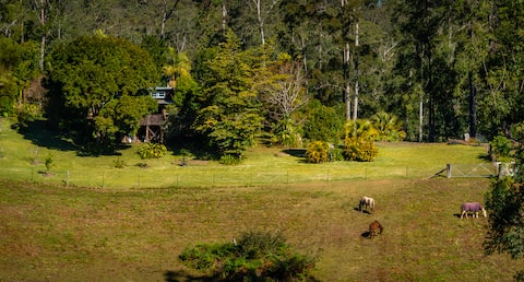 The Shack - Very secluded 200 acre rural retreat