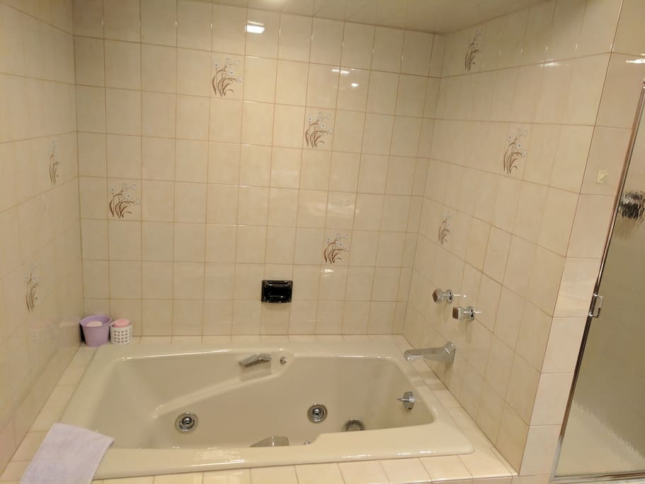 Jacuzzi Tub and Shower
