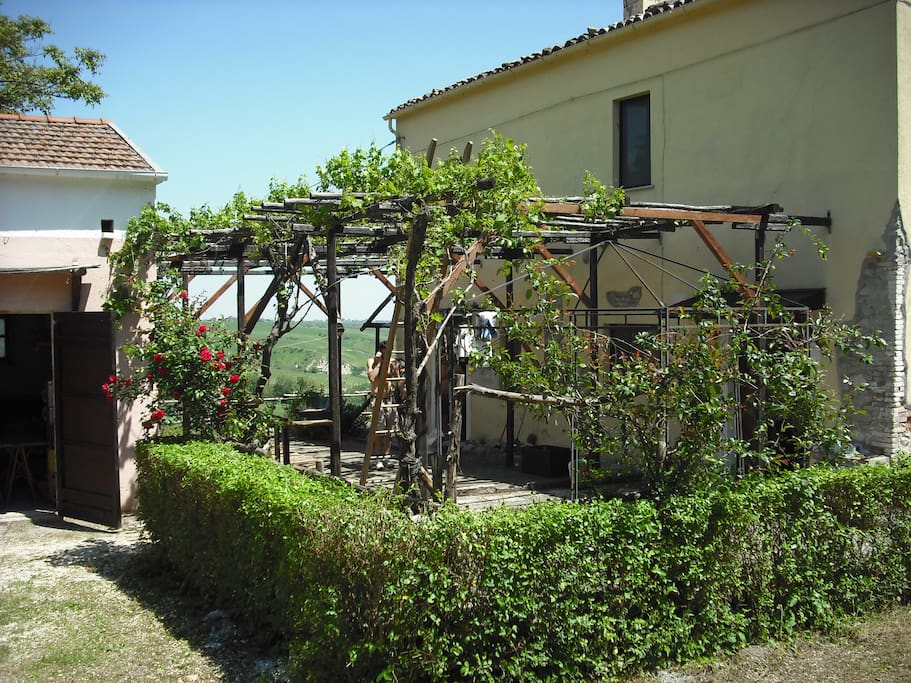 daytime view