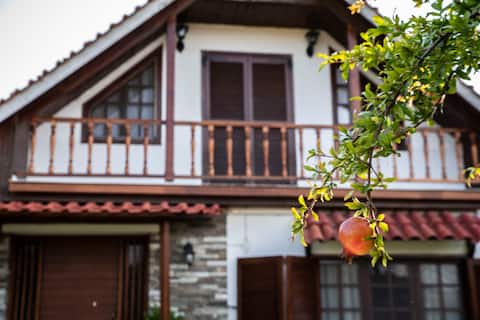 Very cosy 4 bedroom chalet in Nea Irakleia.