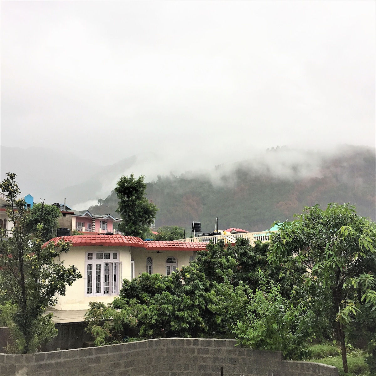 A serene view of a hill station is presented, featuring a blend of lush green trees and mist-covered mountains in the background. The building showcases a characteristic red-tiled roof and white windows, partially obscured by foliage.