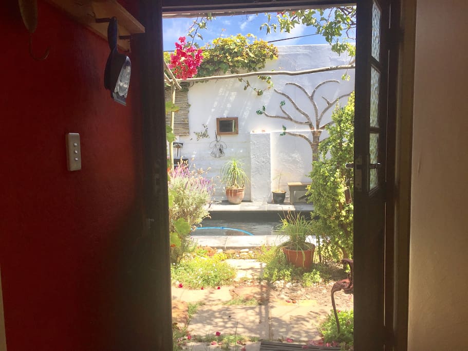 View of garden