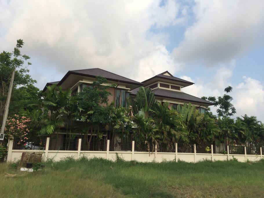 The house. A lot of empty spaces around. You will see a lot of birds here.