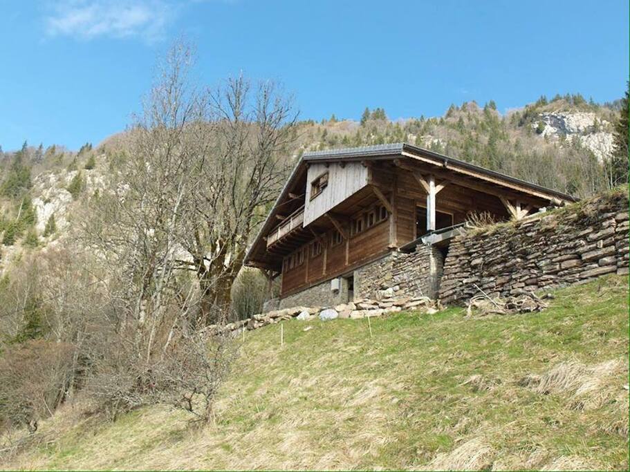 plein sud