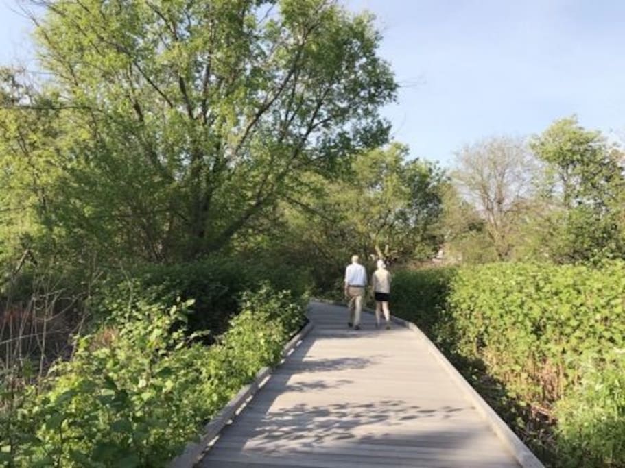 Bike Path