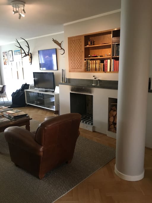 Living room (fire place)