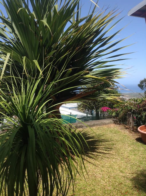 Vacoa du jardn
