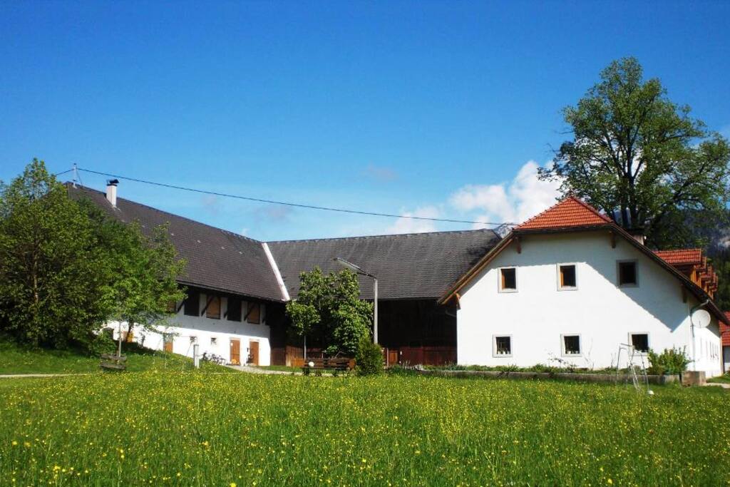 Herzlich Willkommen beim WALDBAUER