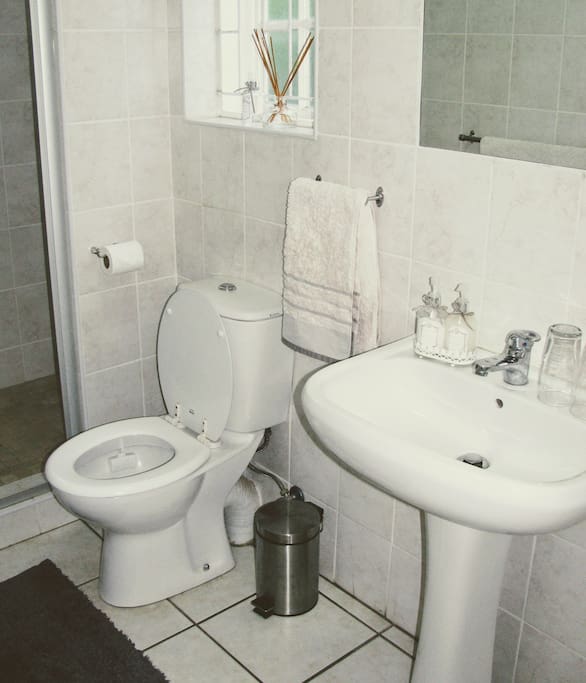 En suite bathroom with shower and essentials (soap, shampoo, conditioner, body lotion)