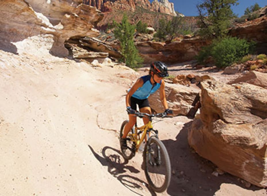 Biking Trail Nearby