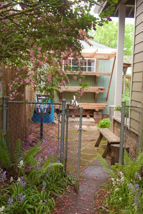Secure fence & private outdoor area.