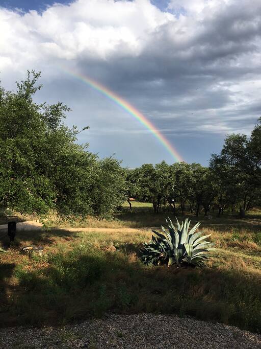 Beauty abounds on the ranch!