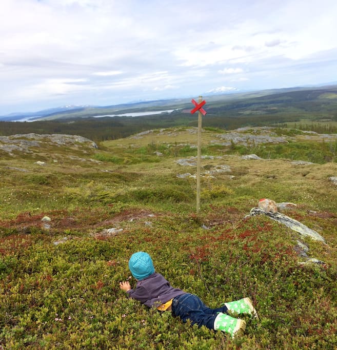 Utsikten från fjället, 20 minuters lätt vandring, till och med vår treåring klarar av det!
The view from the mountain, 20 minutes light hike, even our three-year-old can manage it!