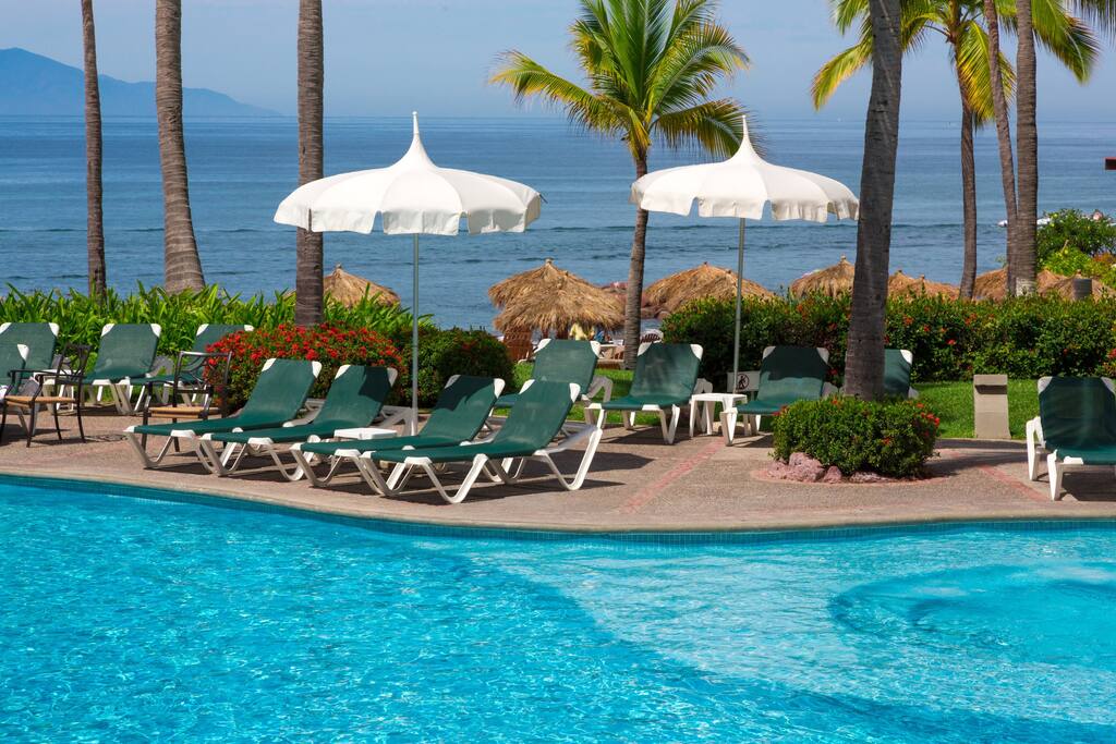 An ocean-view pool with lounge chairs under the palm trees.