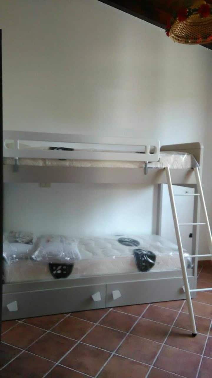 ოთახი ორსართულიანი საწოლებით