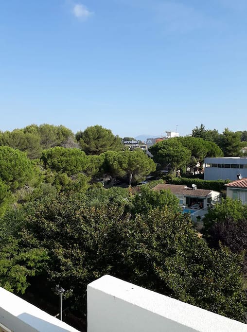 La vue depuis la terrasse á l´est
