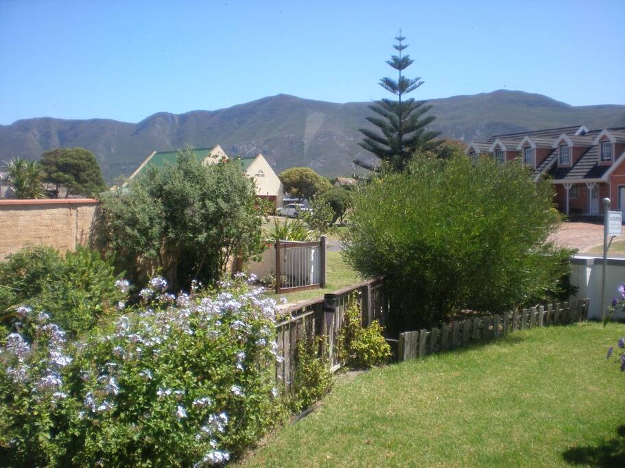 Views of the mountains