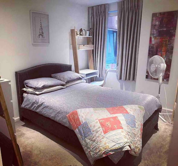 Cozy En-suite Double Zone 1 Central London - London