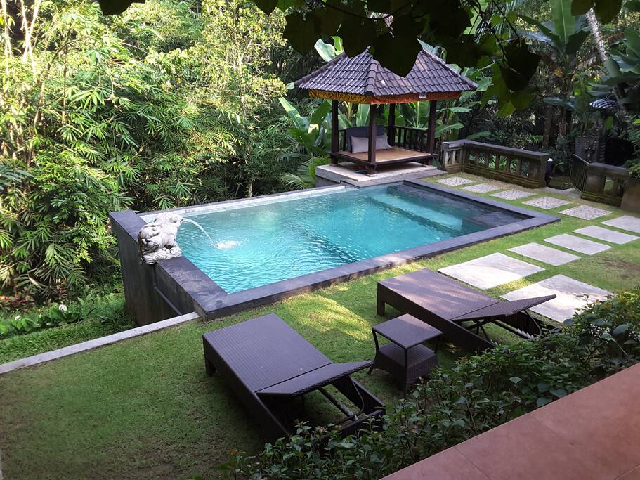 View from dining area