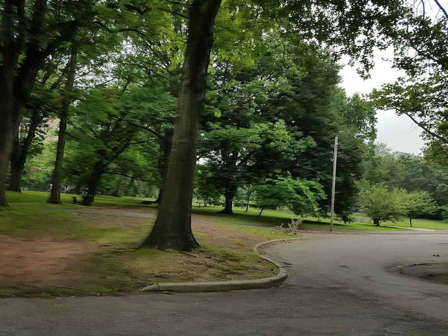 Broad walk