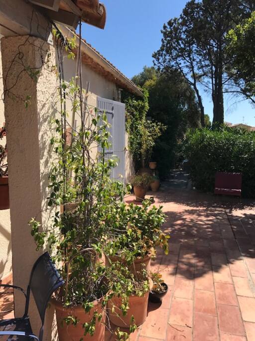 jardin