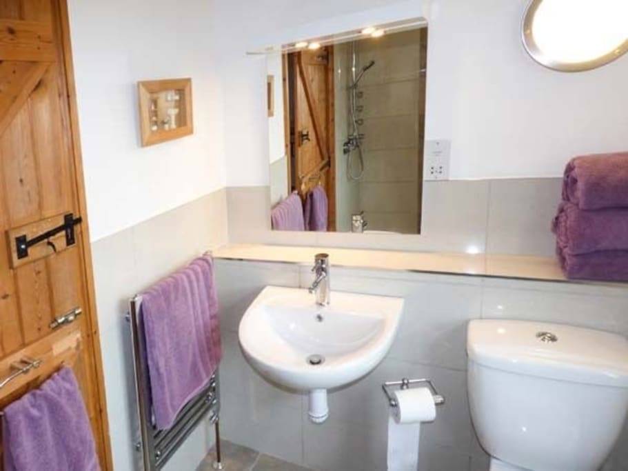 The Bathroom with shower