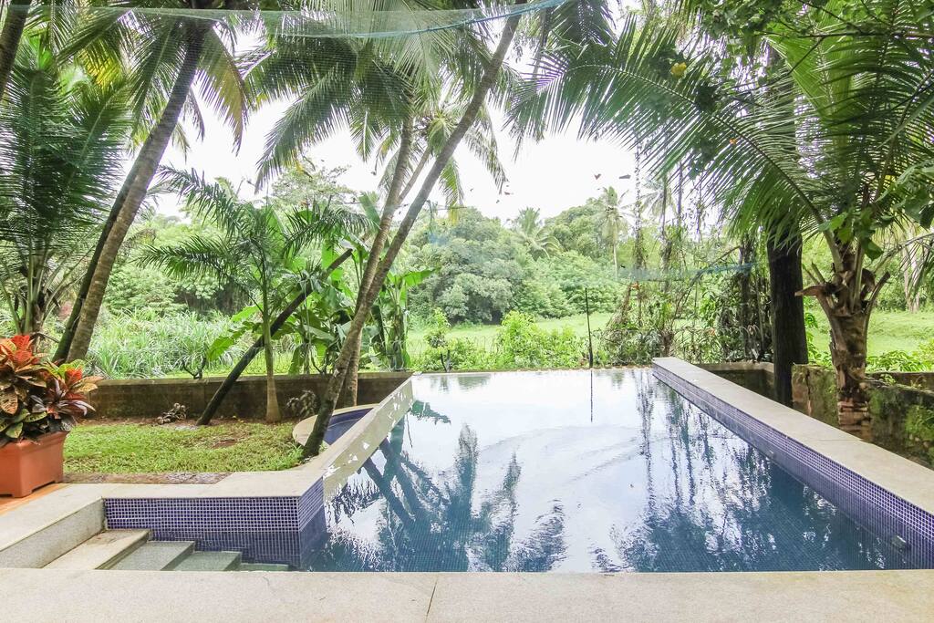 pool view