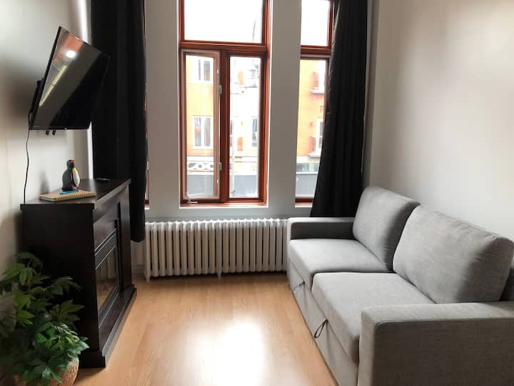 Charmant Appart 3 1/2 Au Centre-ville De 3rivieres - Trois-Rivières