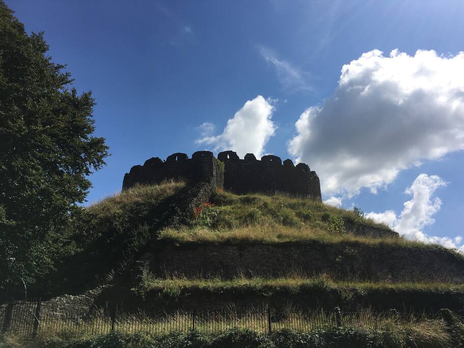 Totnes Norman Castle