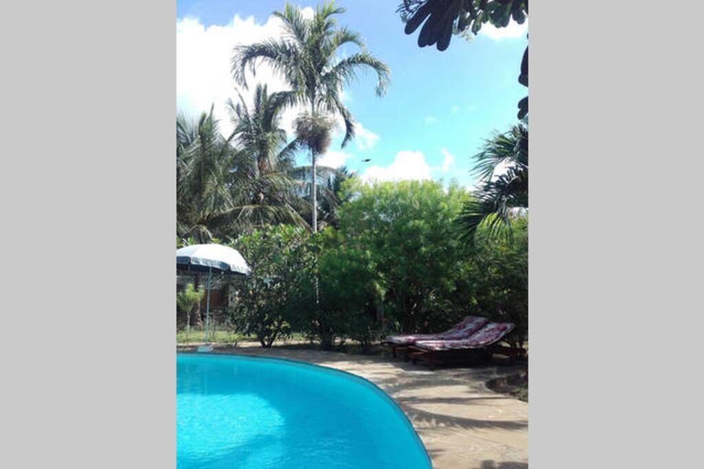 Every guest has one pool bed and matress to enjoy the sun