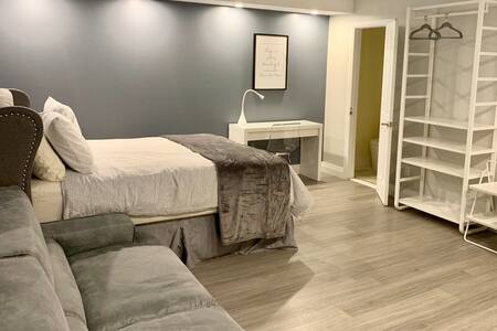 Downtown Modern 2 Bedroom Basement Studio