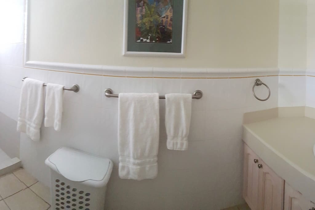 Ensuite Bathroom - Master